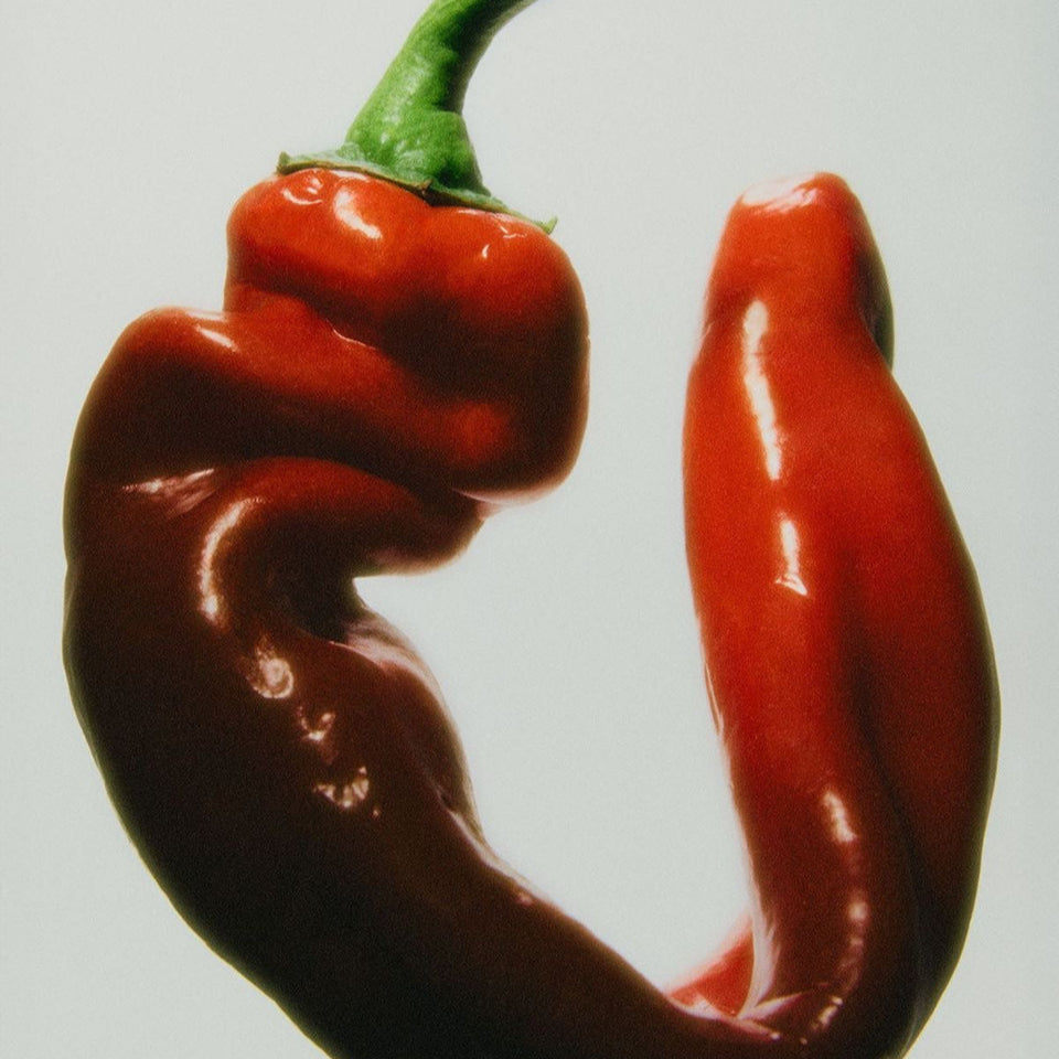 SPICY CHIPOTLE
