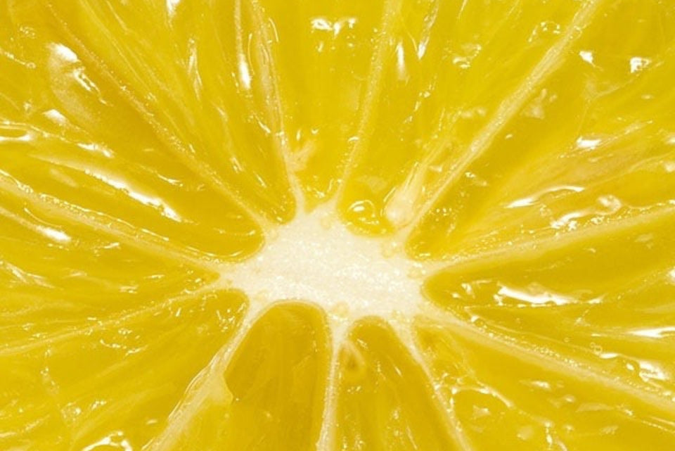 LEMON MUSTARD