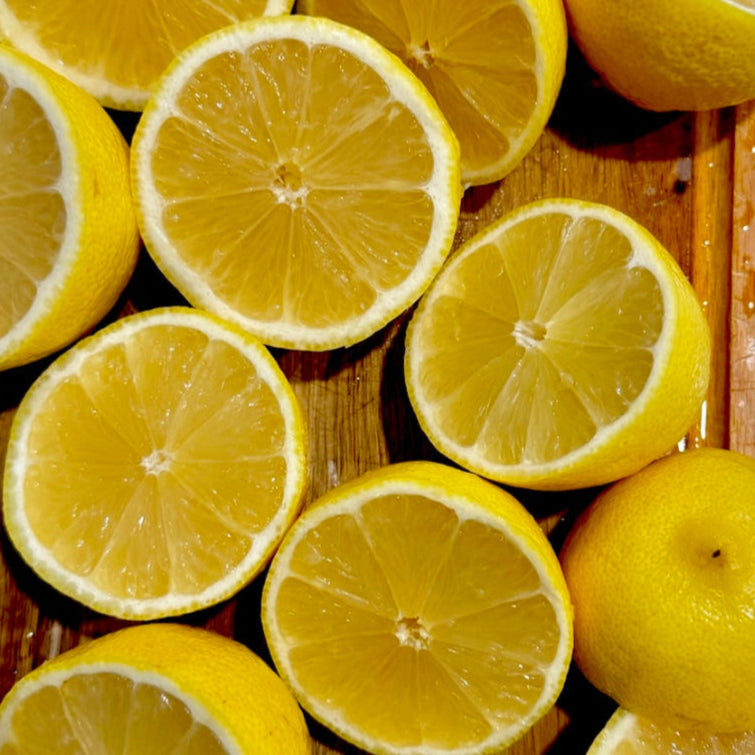 LEMON MUSTARD